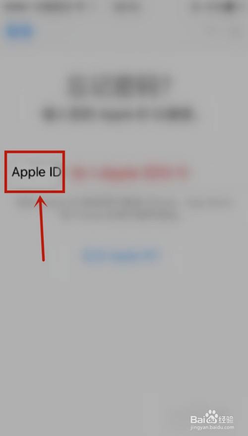 苹果手机有id锁界面苹果手机id锁定怎么解锁