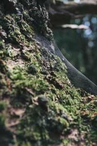 qq牧场苹果版下载-第4张图片-太平洋在线下载