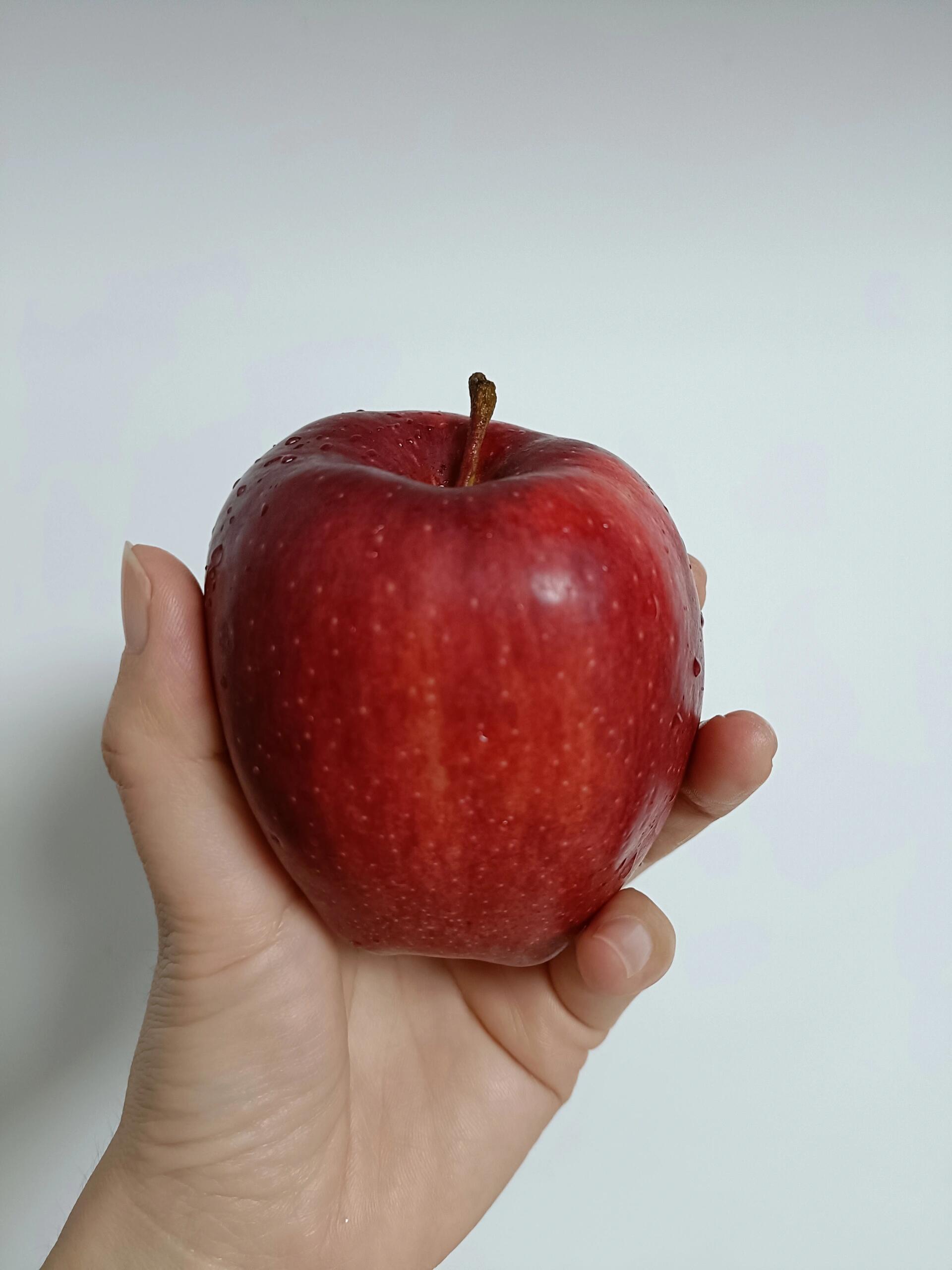 苹果版牛头(苹果手机牛头怎么打出来)-第5张图片-QuickQ官网