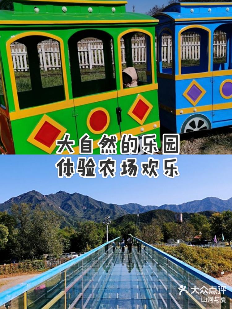 欢乐吧手机版苹果版(苹果手机哪个版本最好)-第1张图片-QuickQ官网