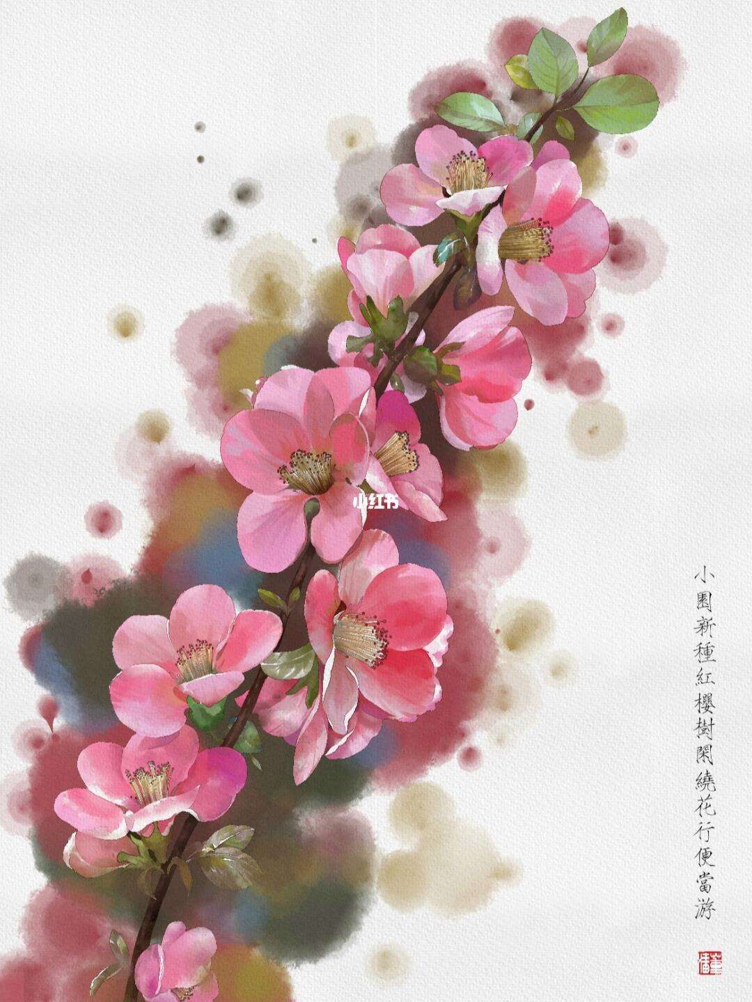 sai手机版中文版(sai官方下载手机版)