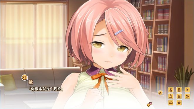 后宫成人安卓版下载安装(后宫安卓游戏rpg单机游戏)-第5张图片-QuickQ官网