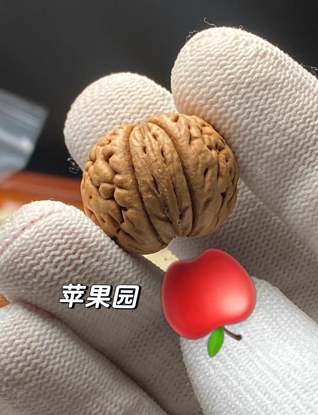 苹果版赤核(赤核下载官方)-第5张图片-QuickQ官网