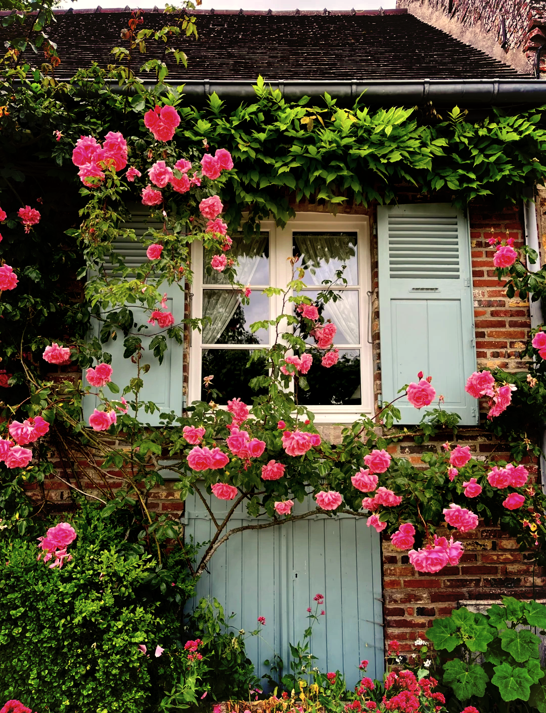 1314玫瑰小镇手机版(1314玫瑰小镇下载)-第3张图片-QuickQ官网 1314玫瑰小镇手机版(1314玫瑰小镇下载)-第3张图片-QuickQ官网