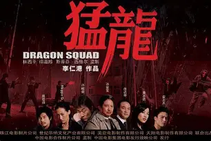 猛龙反击电影下载手机版(猛龙反击国语吕小龙高清版)