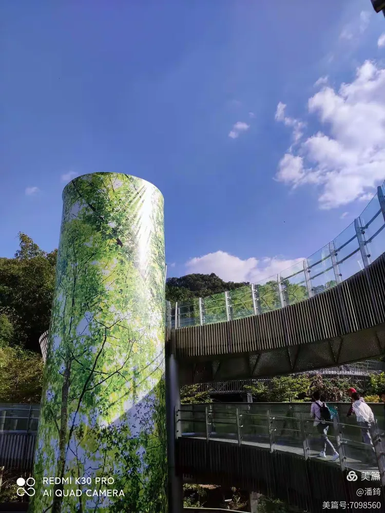 八闽游手机版免费下载的简单介绍-第2张图片-QuickQ官网