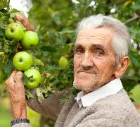 sdlproxy苹果版(tinyproxy苹果版)-第2张图片-QuickQ官网 sdlproxy苹果版(tinyproxy苹果版)-第2张图片-QuickQ官网