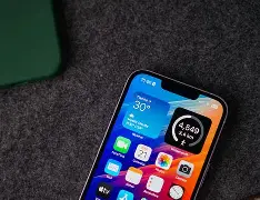 紫色苹果圆盘版(紫色苹果是什么型号)-第3张图片-QuickQ官网