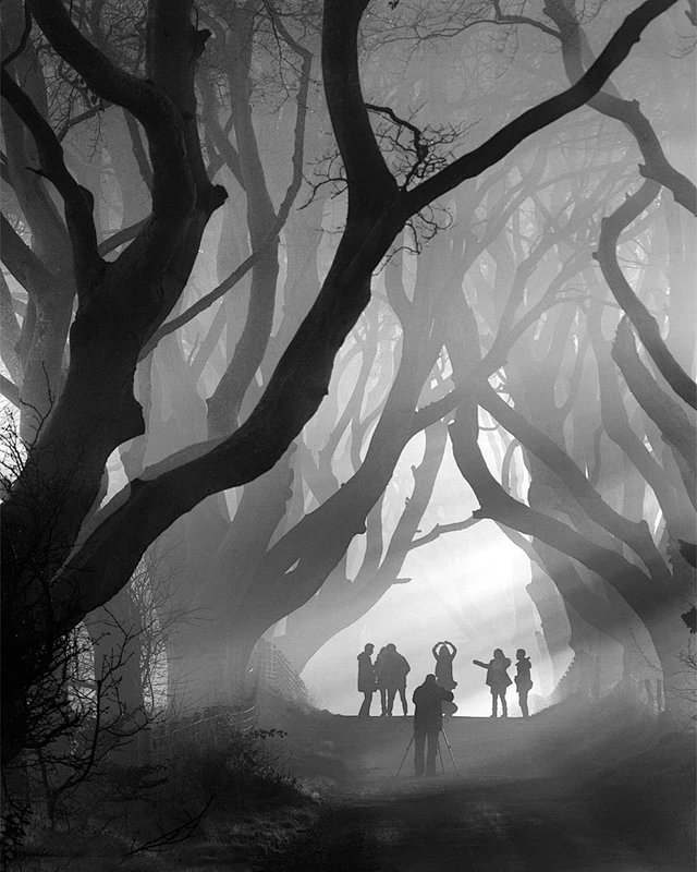 余光苹果版(余光是怎么回事)-第5张图片-QuickQ官网