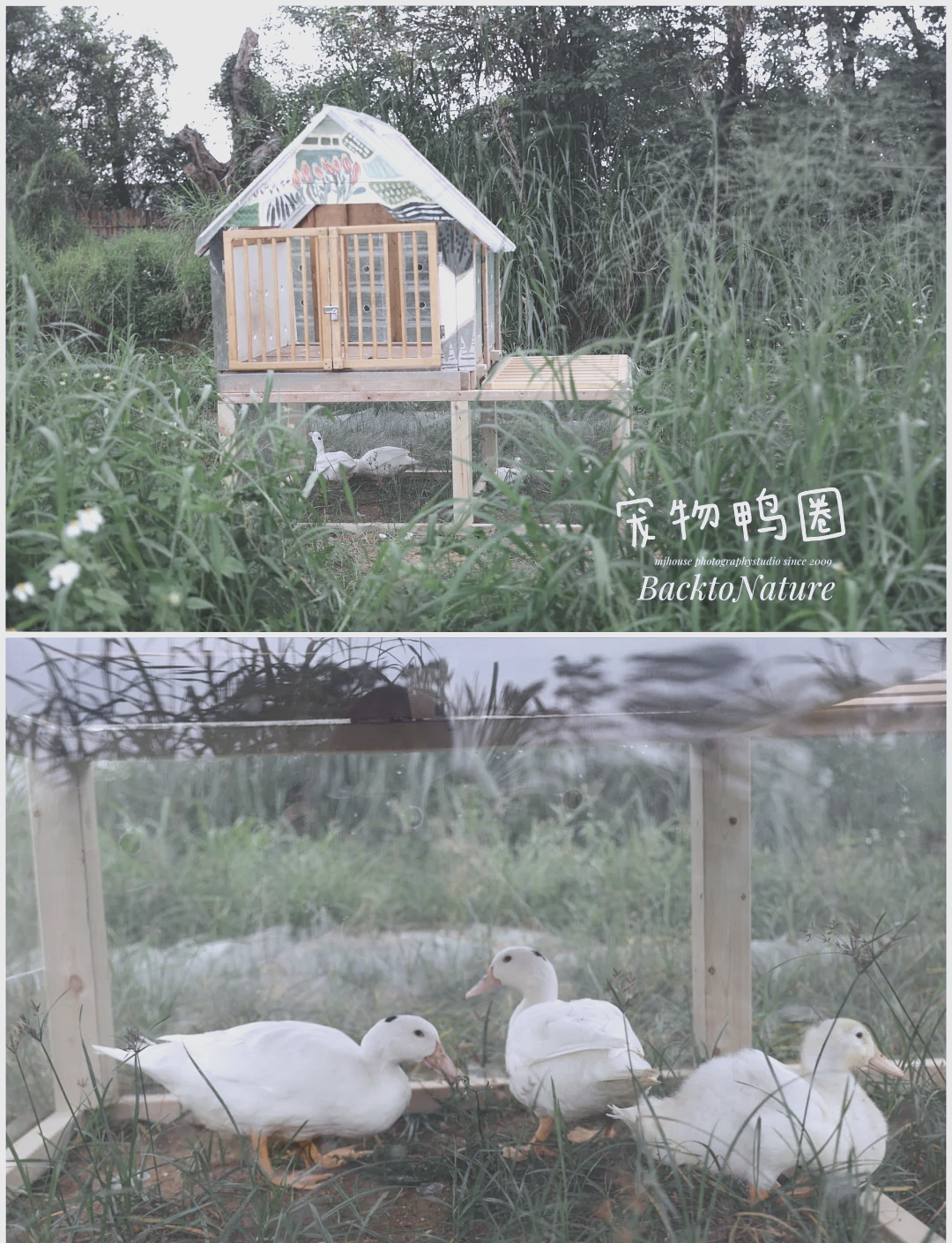 手机版老鸭窝在线(手机版老鸭窝在线观看视频)-第5张图片-QuickQ官网