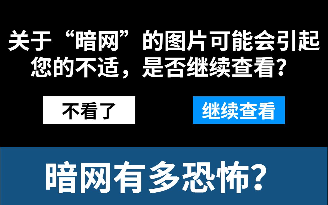 黑客渗透技术手机版(黑客渗透技术手机版下载安装)-第5张图片-QuickQ官网